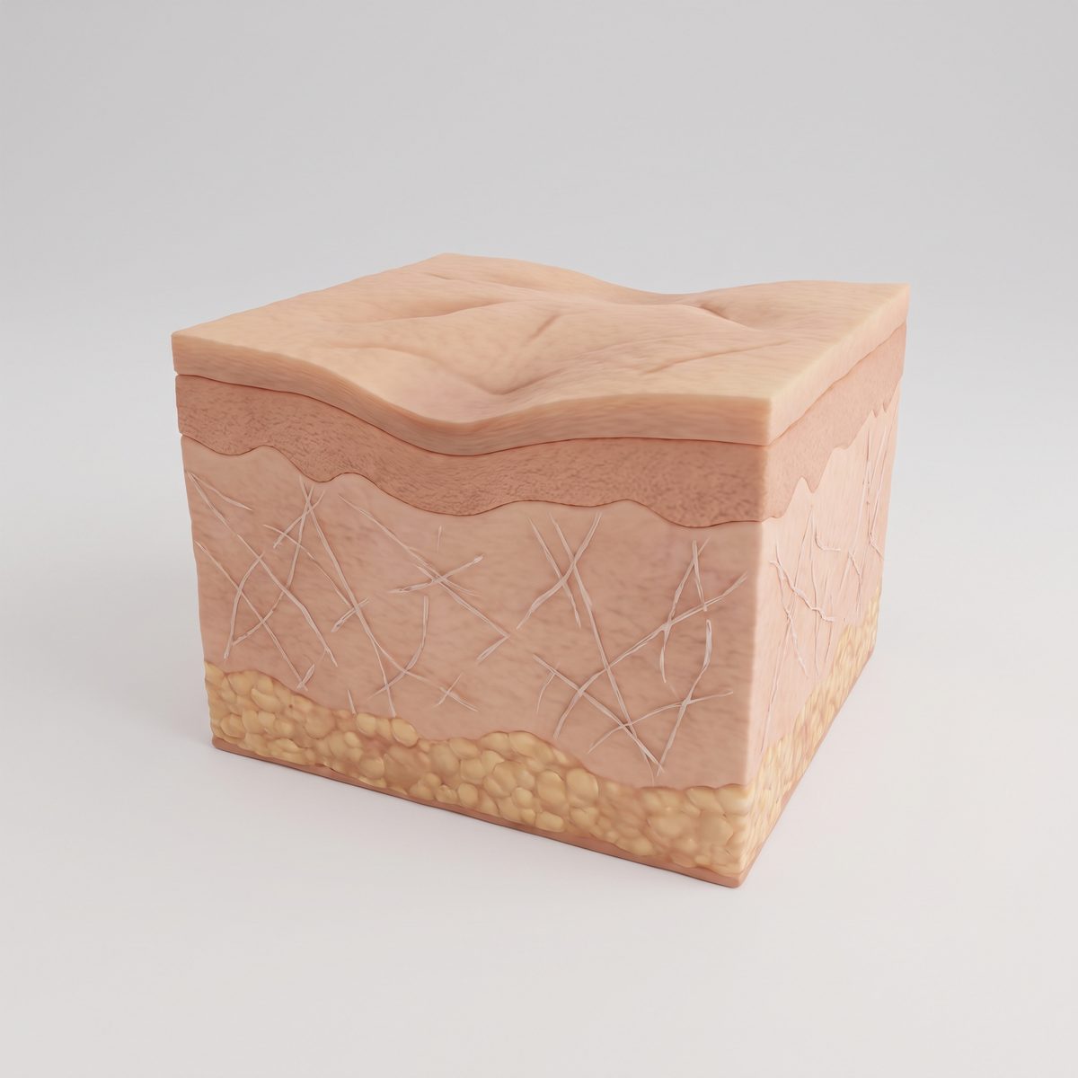 Collagen mesh thinning under the skin